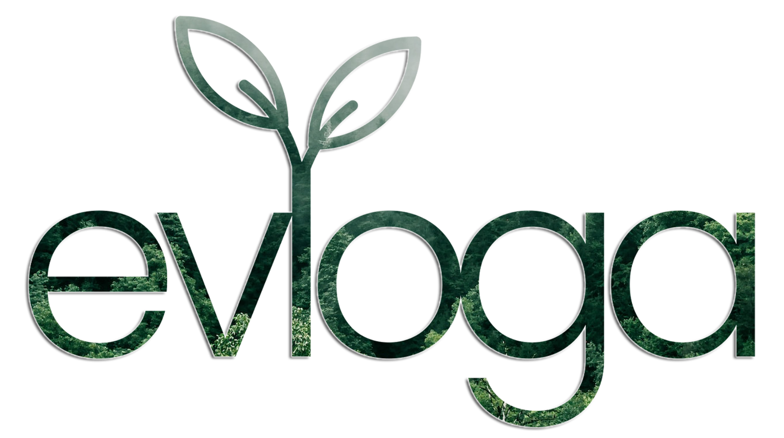 Evloga